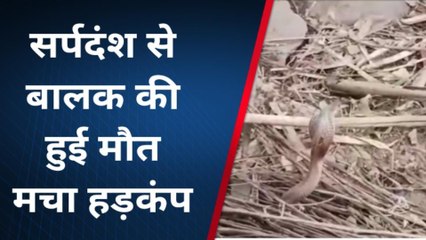 मिर्ज़ापुर: विषैले सर्प के दंश से बालक की हुई मौत, परिजनों मे मचा कोहराम