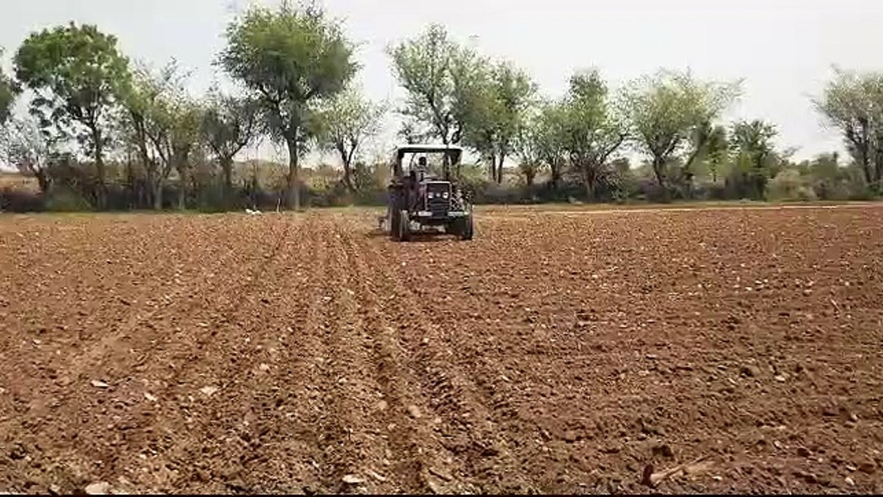biperjoy cyclone effect: बिपरजॉय तूफान से राजस्...