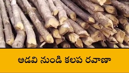 రామాయంపేట: అడవి ప్రాంతంలో అక్రమ కలప రవాణా