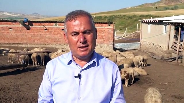 Ankara Damızlık Koyun ve Keçi Yetiştiricileri Birliği Başkanı: Küçükbaş Kurbanlık Daha Uygun Fiyatlı