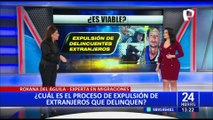 Experta en Migraciones explica el proceso de expulsión de extranjeros que delinquen