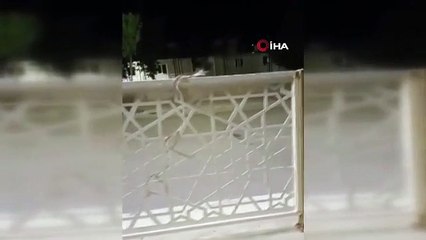Elazığ'da Şehir Merkezindeki Bariyere Çıkan Yılan Paniğe Neden Oldu