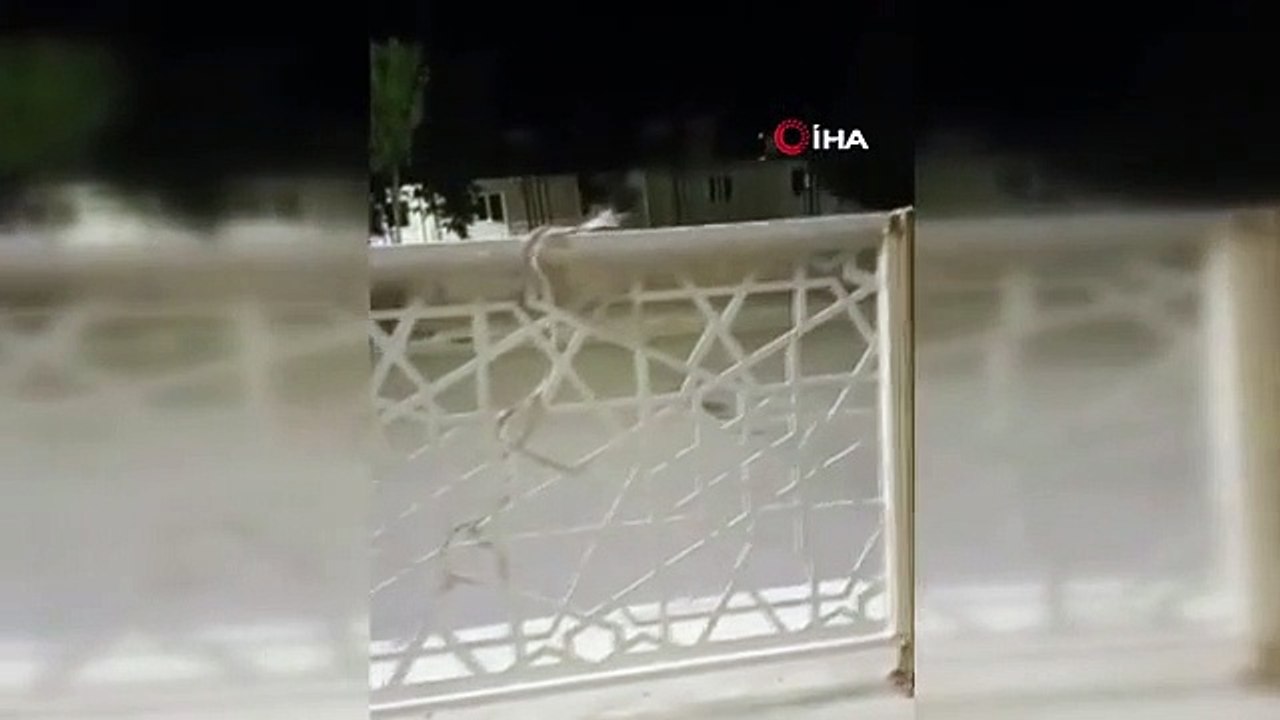 Elazığ'da Şehir Merkezindeki Bariyere Çıkan Yılan Paniğe Neden Oldu