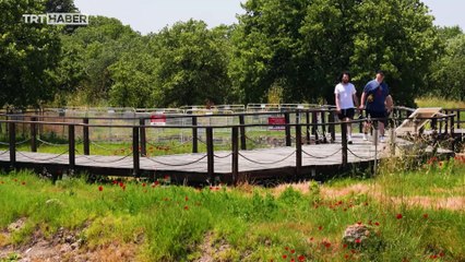 Yakın Rotalar: Troya-Asos