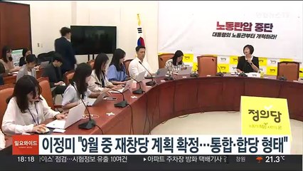 정의 이정미 "9월 중 재창당 계획 확정…통합·합당 형태"