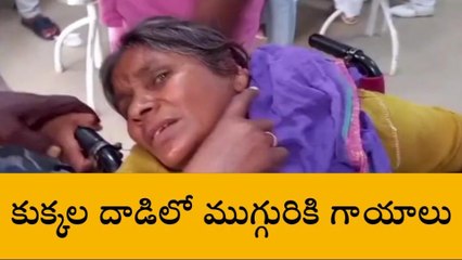 జగిత్యాల: రైతుల పై కుక్కల దాడి..!