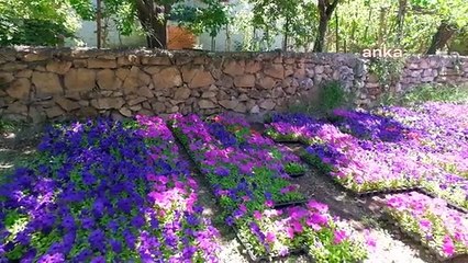 Ankara'da Köylü Kadınları Destekleme Projesi Meyvelerini Veriyor