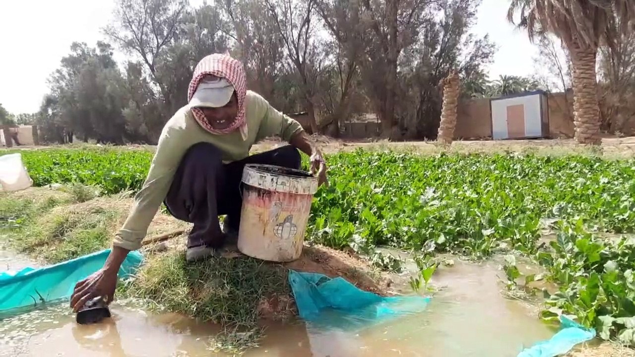 Village Life In Saudi Arabia _ Most Beautiful And Natural Village Life In Saudi Arabia_001