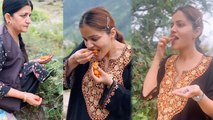 Rubina Dilaik Mother के साथ  Wild Berries Pick करते Video Viral,हिमाचली अंदाज में..|Boldsky