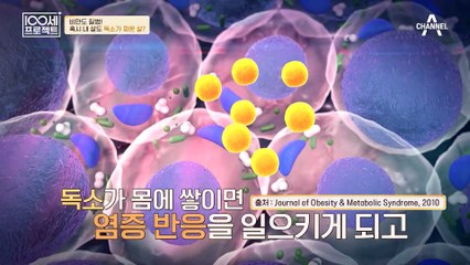 식이요법과 운동을 해도 빠지지 않는 살, '독소' 때문? 100세 주치의가 말하는 독소의 위험성!