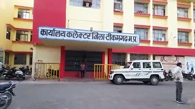 The area of ​​coarse grains in the district has increased by 50 percent as compared to the previous years