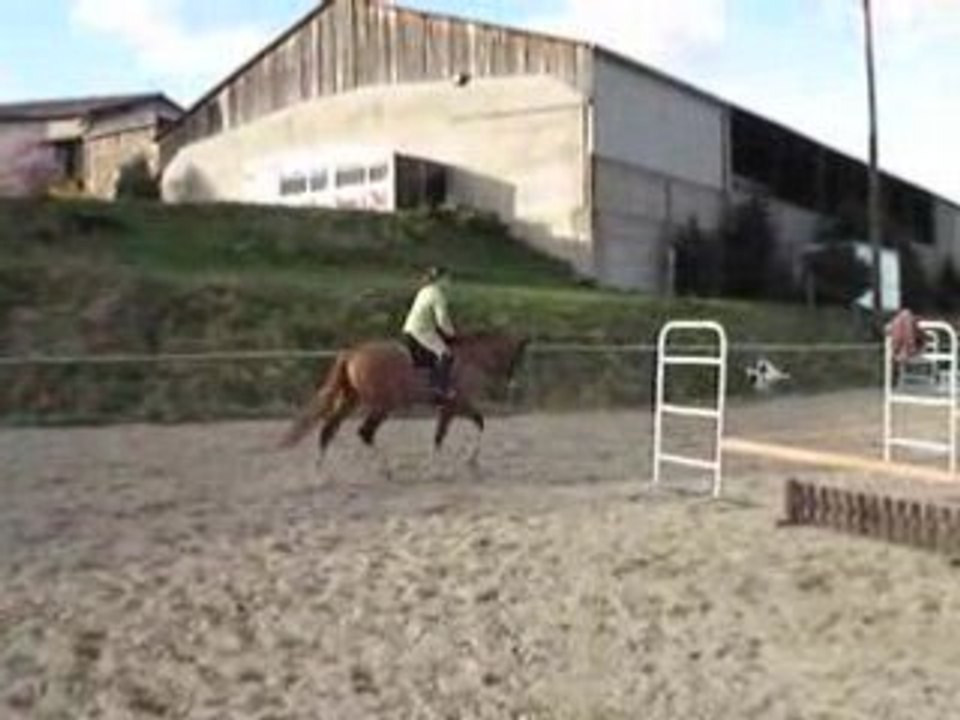 MOV02368