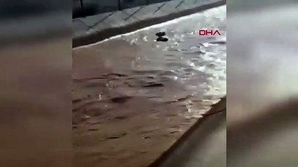 İdris Karabuga'nın boğası kepçe ile kurtarıldı