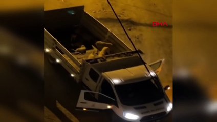 Sokak köpeklerine işkence yapan görevlilere yasal işlem