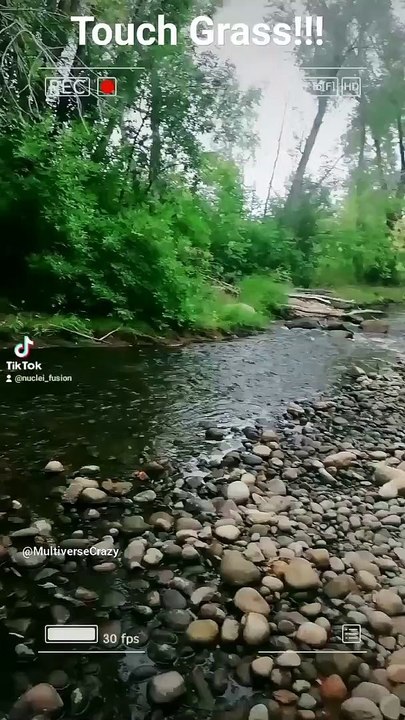 Touch Grass!!! #river #gaming #nature #beautiful #love