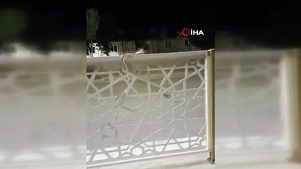 Sıcak havalar arttı, şehir merkezine indiler!