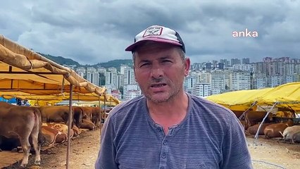 Kurbanlık hayvan fiyatları arttı