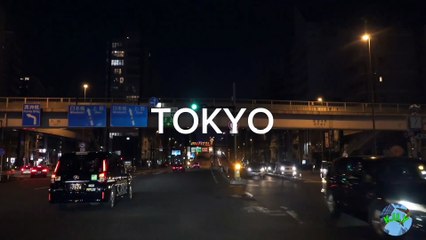 Night Ride on the Tokyo City Expressway