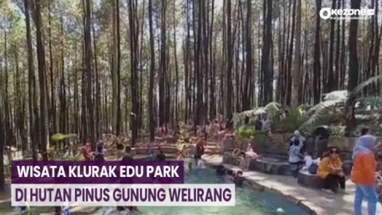 OKEFLASH: Sensasi Berwisata Renang di Hutan Pinus Gunung Welirang