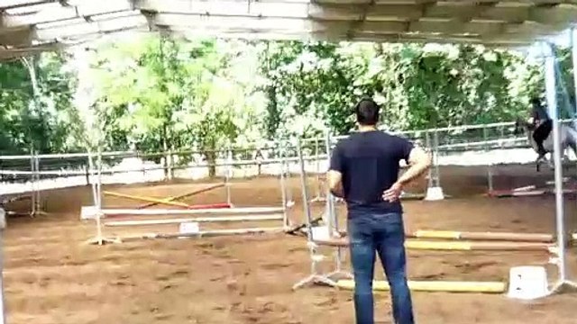 Brumath Portes Ouvertes Centre Equestre les Papillons 2023