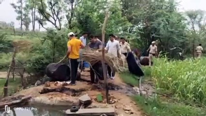 500 लीटर वाॅश नष्ट