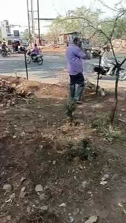 पर्यावरण मित्रों ने 2 घंटे किया श्रमदान, उखाड़ी गाजरघास, किया पौधरोपण