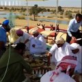 Ammari | Sheikh Hamdan Faz3 | Fazza/فزاع  | ولي عهد دبي