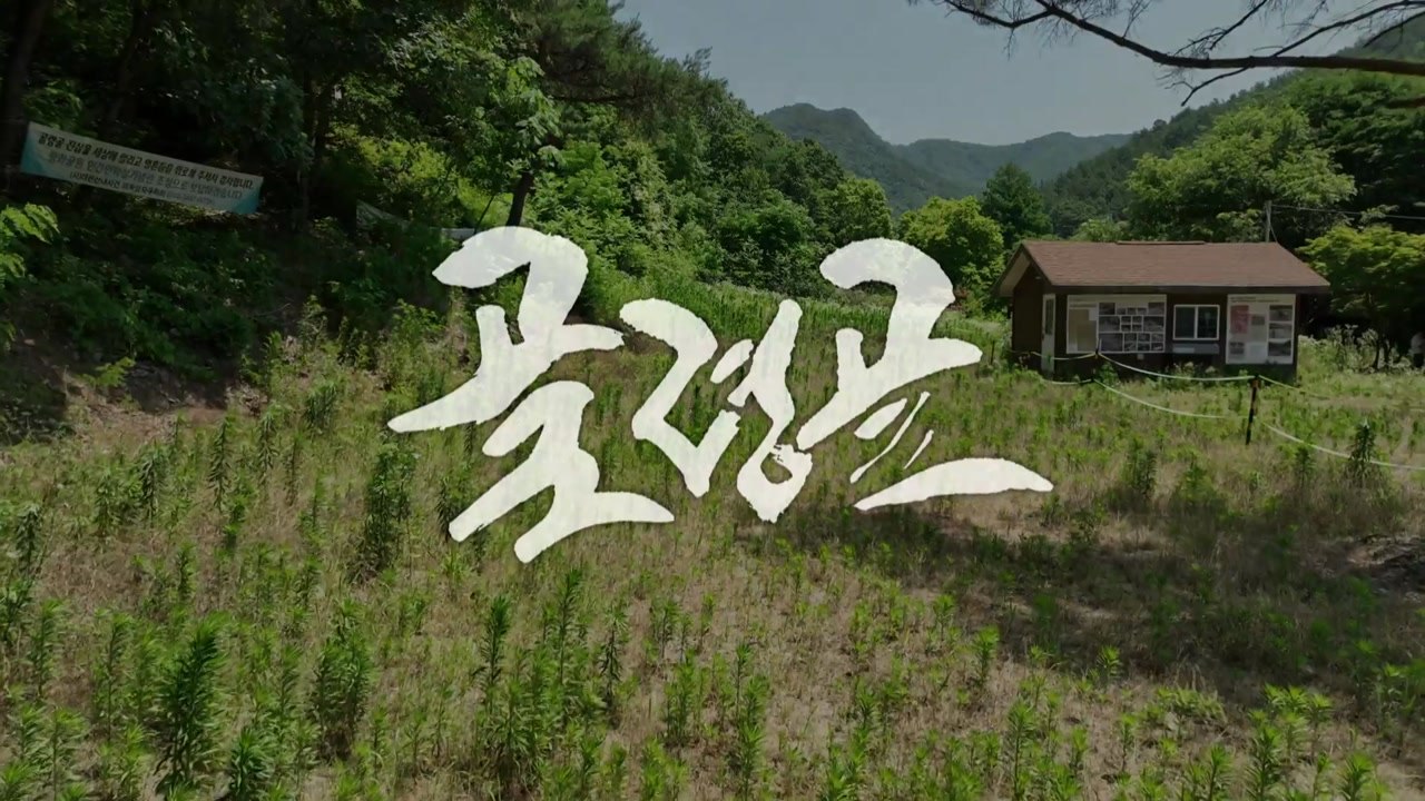 [왓슈] [詩(시), 사회] '세상에서 가장 긴 무덤 '골령골' 민간인 7천 명 집단...
