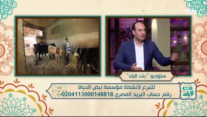 جهود مؤسسة "نبض الحياة" في أعمال الخير