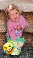 Less Than Gentle Egg Collecting