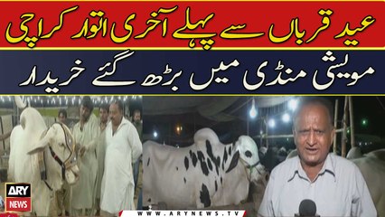 Bakra eid ki amad۔۔۔ Pehlay aur akhari itwar mein Karachi ki maweshi mandi mein rush