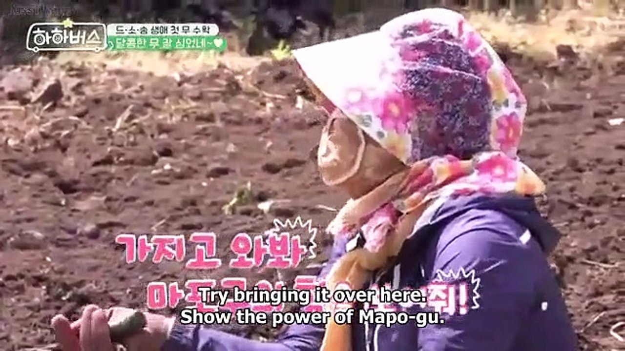 Ha Ha Bus (2023) Ep 13 (EngSub) part 1/1