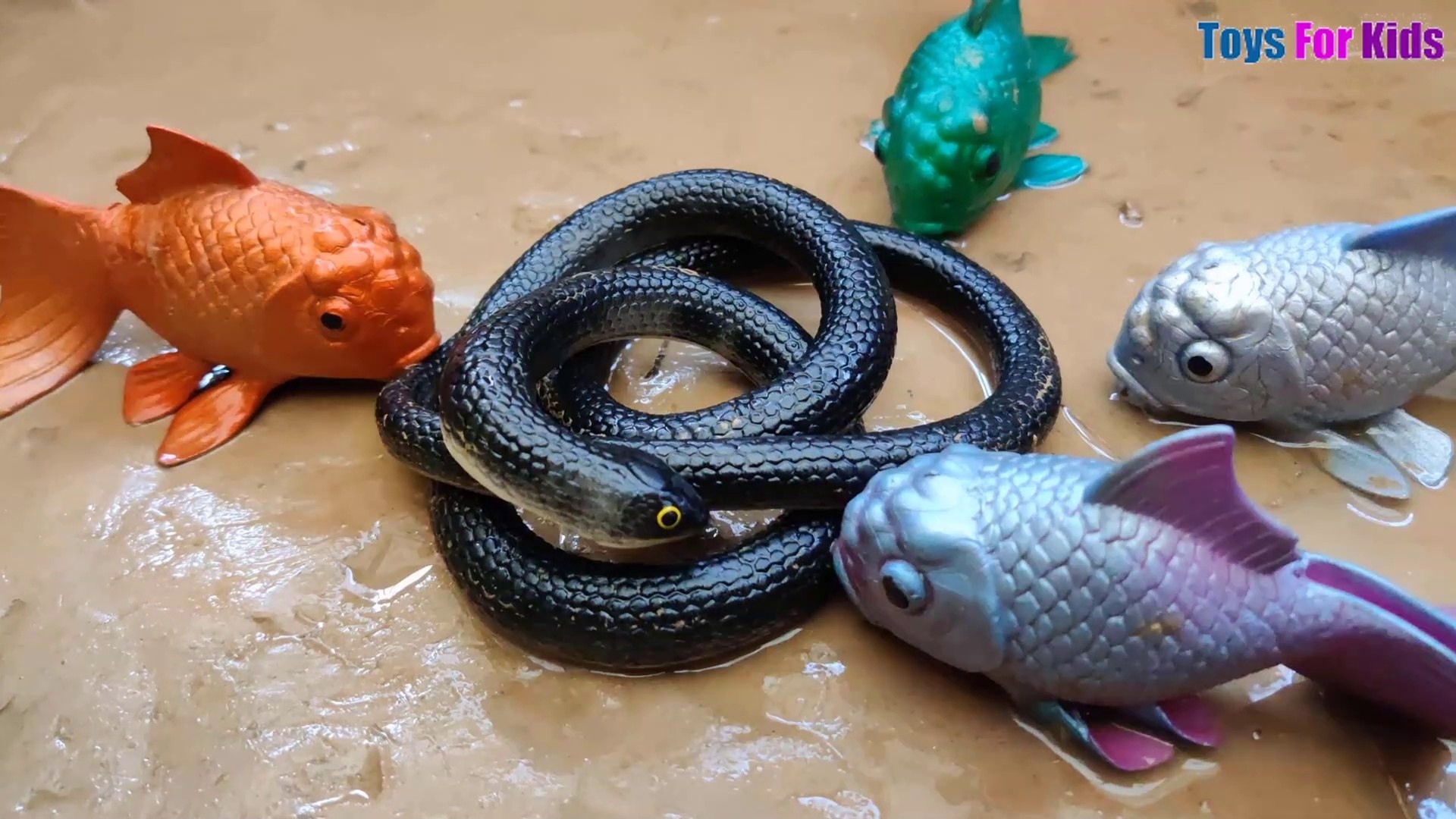 ⁣Stop Motion Fish - Snake - Asmr Cooking Stop Motion - Tiny World+Stop Motion