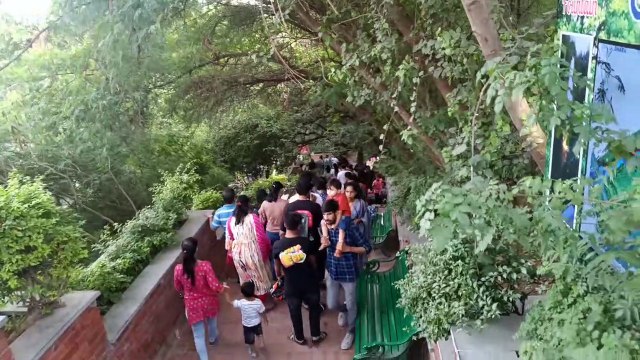 जलधारा देखने उमड़े शहरवासी... देखें वीडियो