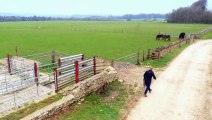 Countryfile - Rare Breeds 50th Anniversary Compilation