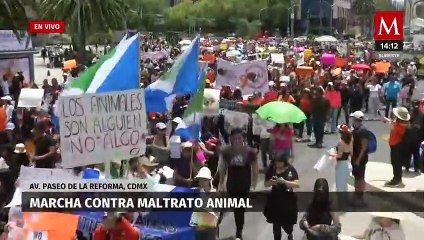 Marchan contra el maltrato animal en avenida Paseo de la Reforma