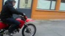 pino moto