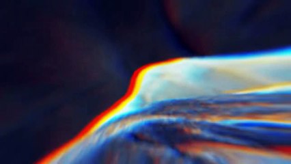 Animals That Won the Evolutionary Race