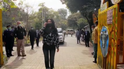 That's Why Elephants Stand Still Until They Die