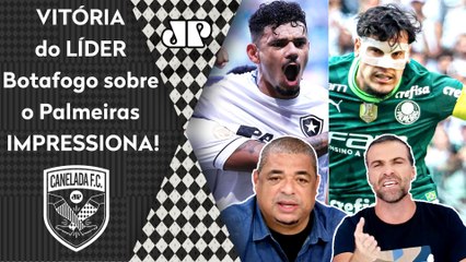 "É IMPRESSIONANTE! O Botafogo TÁ CALANDO A BOCA de MUITA GENTE! VENCEU o Palmeiras e..." VEJA DEBATE