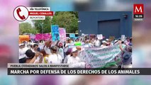 Ciudadanos se manifiestan por la defensa de los derechos de los animales en Puebla