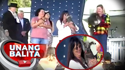 Fur-pets, rumampa sa contest para sa "World's Ugliest Dog" | UB