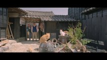 고양이와 할아버지 (2018) 영화 다시보기