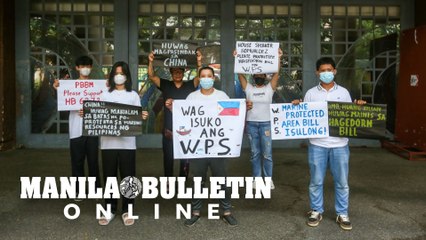 Save Kalikasan Movement calls out Romualdez to prioritize House Bill 6373