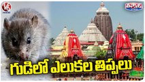Rat-Repellent Keeping Puri Jagannath Temple Deities Awake At Odisha  _ V6 Weekend Teenmaar