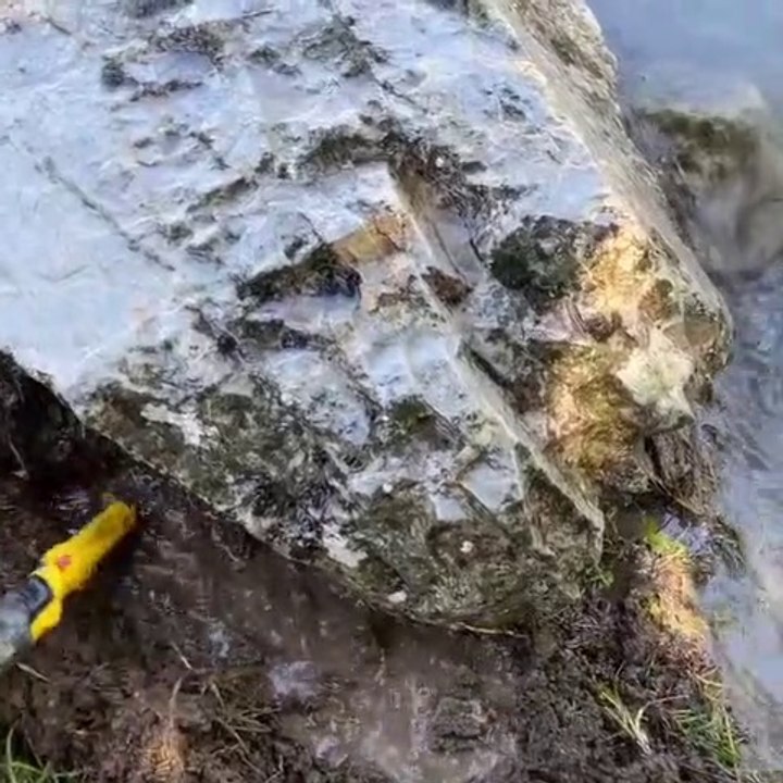We found treasure under the picture of fish carved into the rock!  | We found treasure under the picture of fish carved into the rock!  |