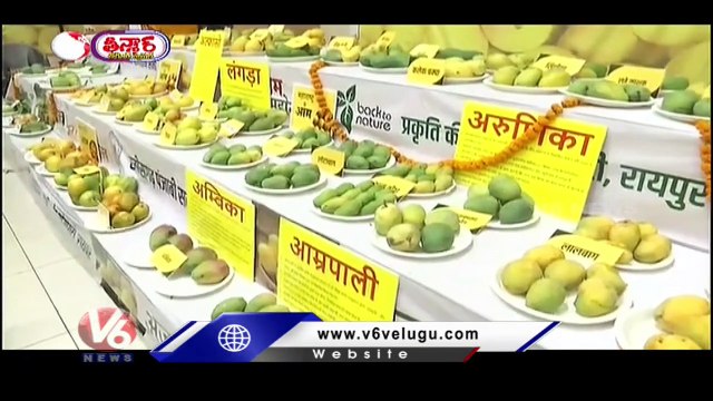 Japan Mangoes _ Miyazaki Mangoes Cost Rs.2.7 Lakh Per Kg In India _ V6 Weekend Teenmaar