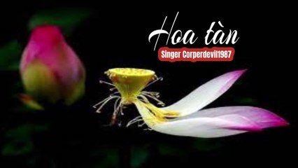 Hoa tàn (Singer Corperdevil1987) Full HD