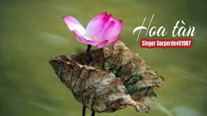 Hoa tàn (Singer Corperdevil1987) Full HD