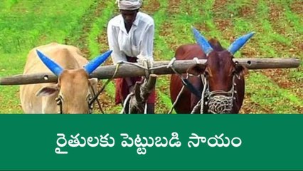 కాగజ్ నగర్: నేటి నుండి రైతుల ఖాతాల్లో నగదు జమ